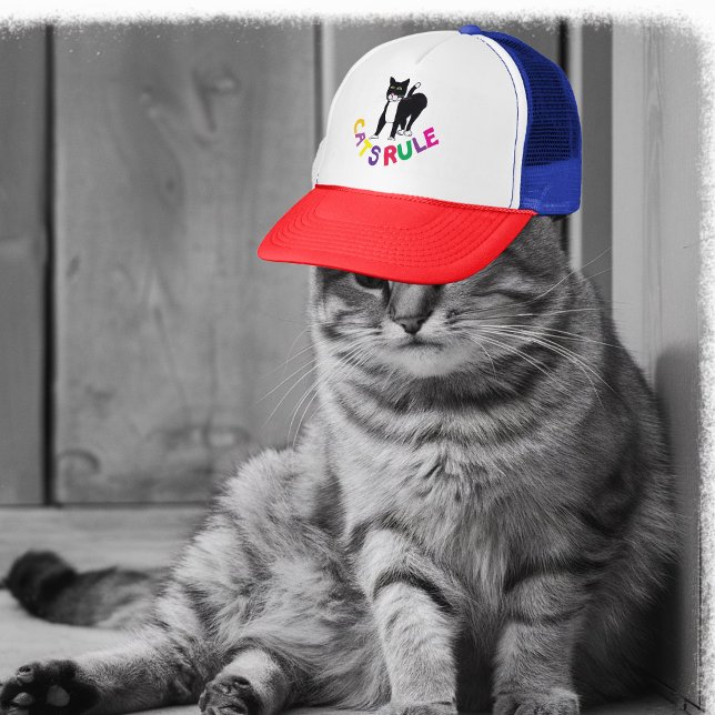 katter styr lastbilschaufförer som älskar katt sva keps (Skapare uppladdad)