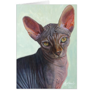 Katter Sunitha för Sphynx Sphinxkatt Hälsningskort