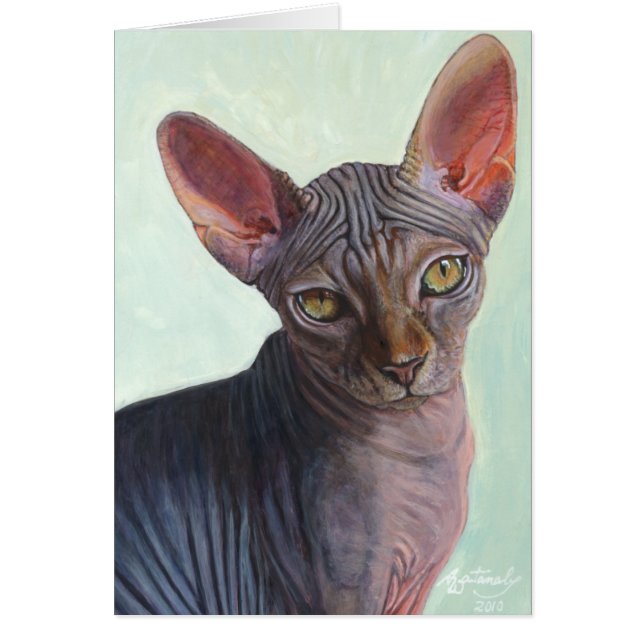 Katter Sunitha för Sphynx Sphinxkatt Hälsningskort (Framsidan)