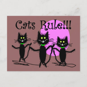 Katter! Svart kattdesign...förtjusande Vykort