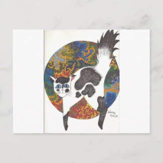 Katter - svartvitt vykort