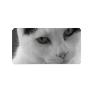 Katter Thoughts Adressetikett