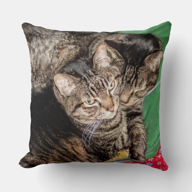 Katter - vardag - Helgdagar - jul Kudde (Framsida)