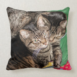 Katter - vardag - Helgdagar - jul Kudde