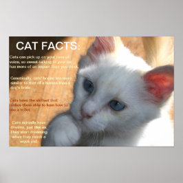 Kattfakta! Poster