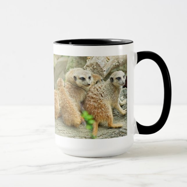 Kattfamiljen - Mugg (Höger)