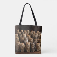 Kattfamiljen