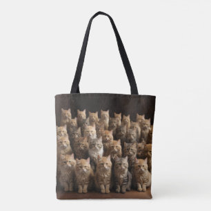Kattfamiljen Tygkasse