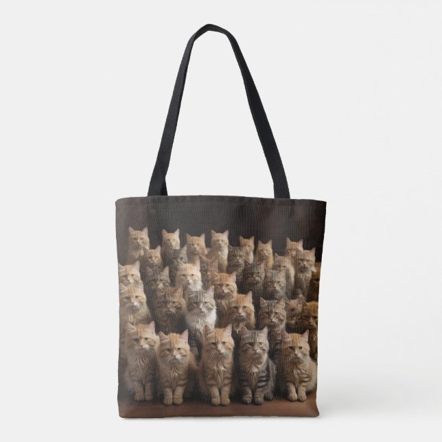 Kattfamiljen Tygkasse (Baksida)