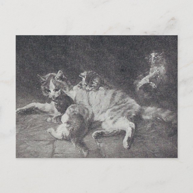 Kattfamiljen Vykort (Framsida)