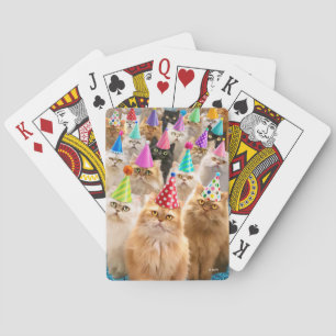 Kattfest Casinokort