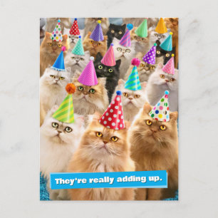 Kattfest Inbjudan Vykort