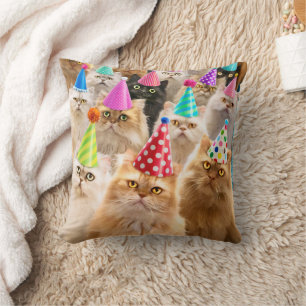 Kattfest Kudde