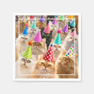 Kattfest Pappersservett