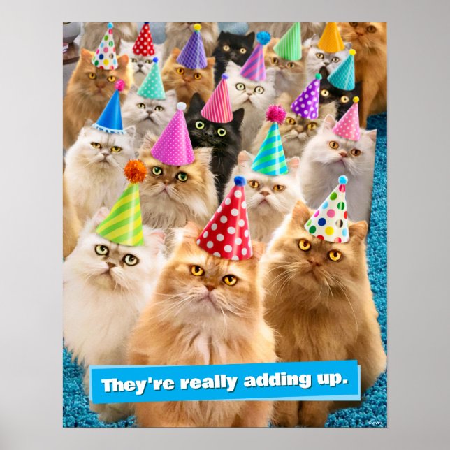 Kattfest Poster (Framsidan)