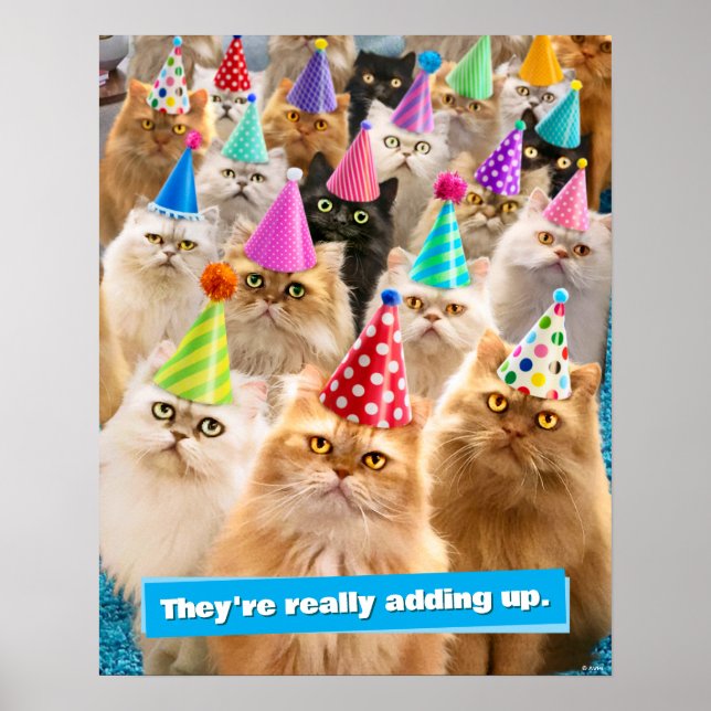 Kattfest Poster (Framsidan)