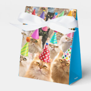 Kattfest Presentaskar