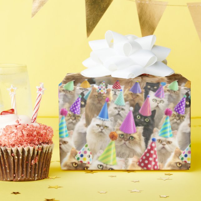 Kattfest Presentpapper (Födelsedagsfest)