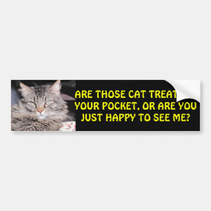 Kattfester i ditt fick-? MEME Bildekal
