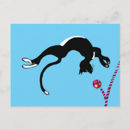 Kattflipp Vykort