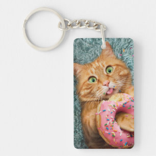 Kattfoder