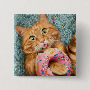 Kattfoder Knapp