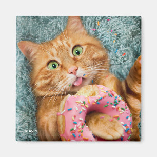 Kattfoder Magnet