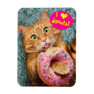 Kattfoder Magnet