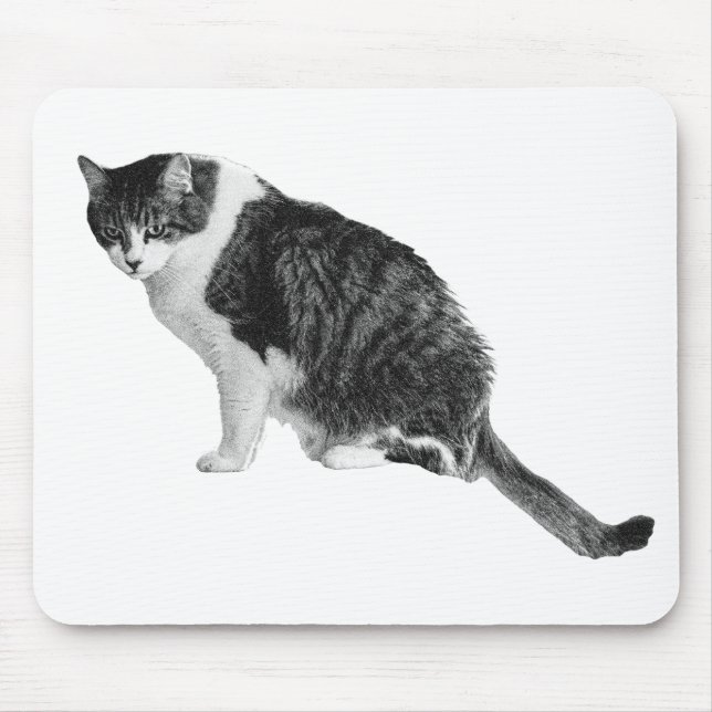 Kattfokusmusmatta Stöder Lugnt Arbetsflöde Musmatta (Framsidan)
