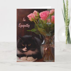 Kattförlust Sympati med Rosa ros Kort