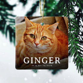 Kattfotavtryck på våra hjärtan  Kattminne 2 Bilder Julgransprydnad Keramik