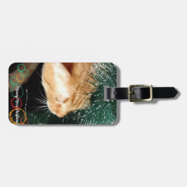 Kattfoto, Anpassning, Jul, Bagagebricka