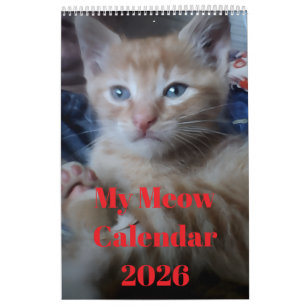 Kattfoto citat Anpassa Roligt Kalender