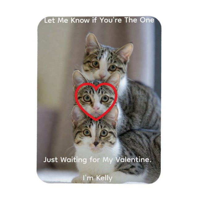 Kattfoto Flexibelt Fotomagnet Magnet (Vertikal)