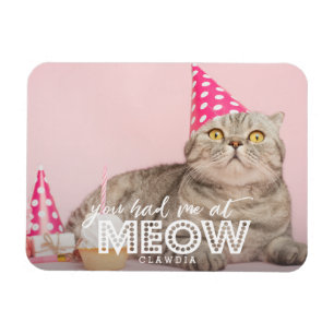 Kattfoto   hade du mig på att jama magnet