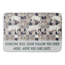 Kattfoto humor text