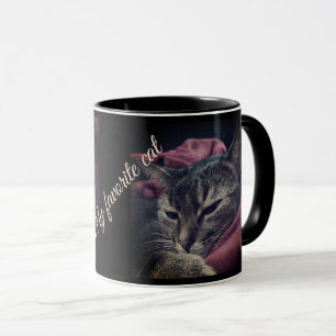 Kattfoto, katt, Husdjur, rolig katt, Burgunder Mugg