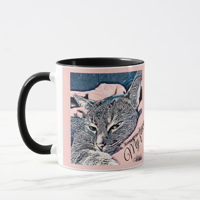 Kattfoto, katt, Husdjur, rolig katt Mugg (Vänster)