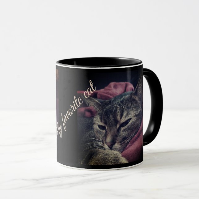 Kattfoto, katt, sällskapsdjur, rolig katt, Burgund Mugg (Framsida höger)