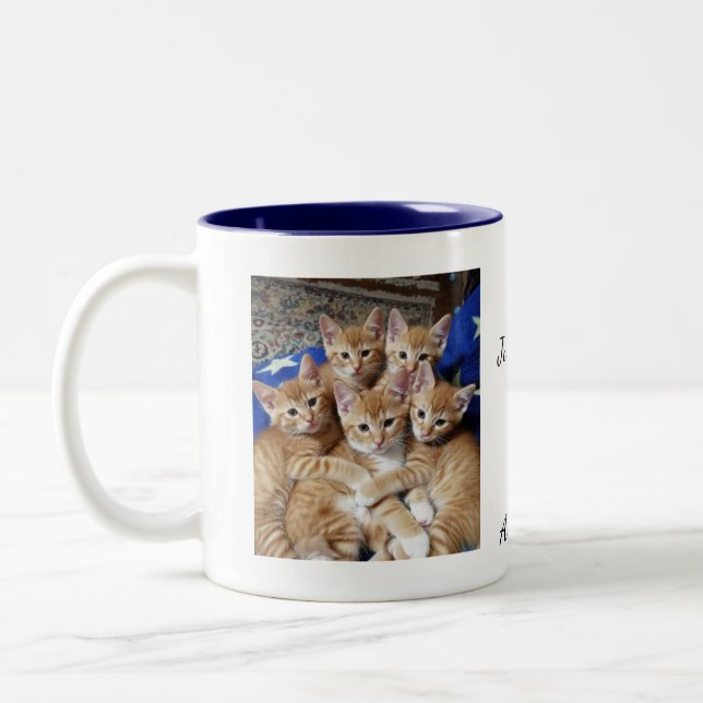 Kattfoto-mönster, mugg (Vänster)