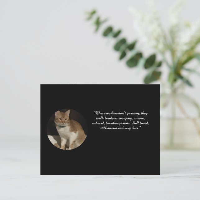 Kattfoto Namn Text Sympatikort  Vykort (Stående Fram)