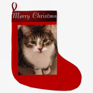 Kattfoto Stor Julstrumpa