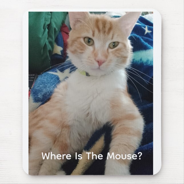 Kattfoto Text Anpassa Musmatt Musmatta (Framsidan)