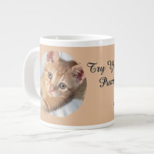 Kattfoto, text, utbytbar, rolig, kattälskare