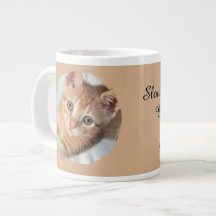 Kattfoto, Text, utbytbar, Rolig, Kattälskare
