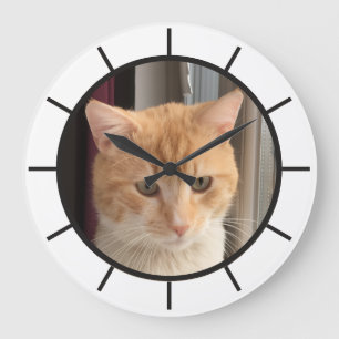 Kattfoto, utbytbar, Rolig Stor Klocka