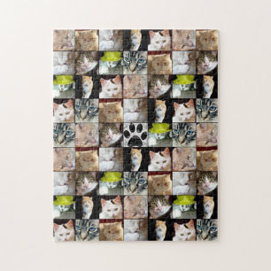 KattfotoCollage Pussel