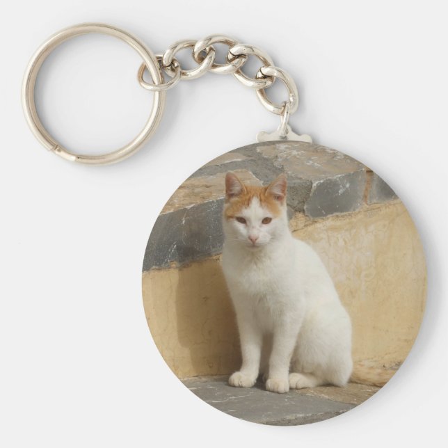 Kattfotografinyckelkedja Nyckelring (Framsidan)