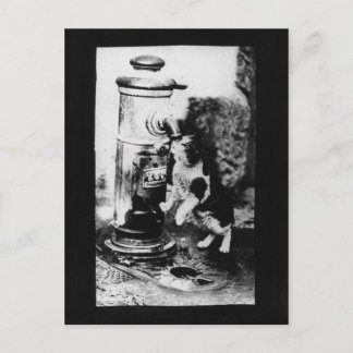 Kattfräschning i Fontän Vykort