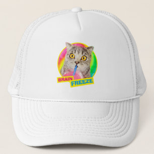 Kattfylleri Keps